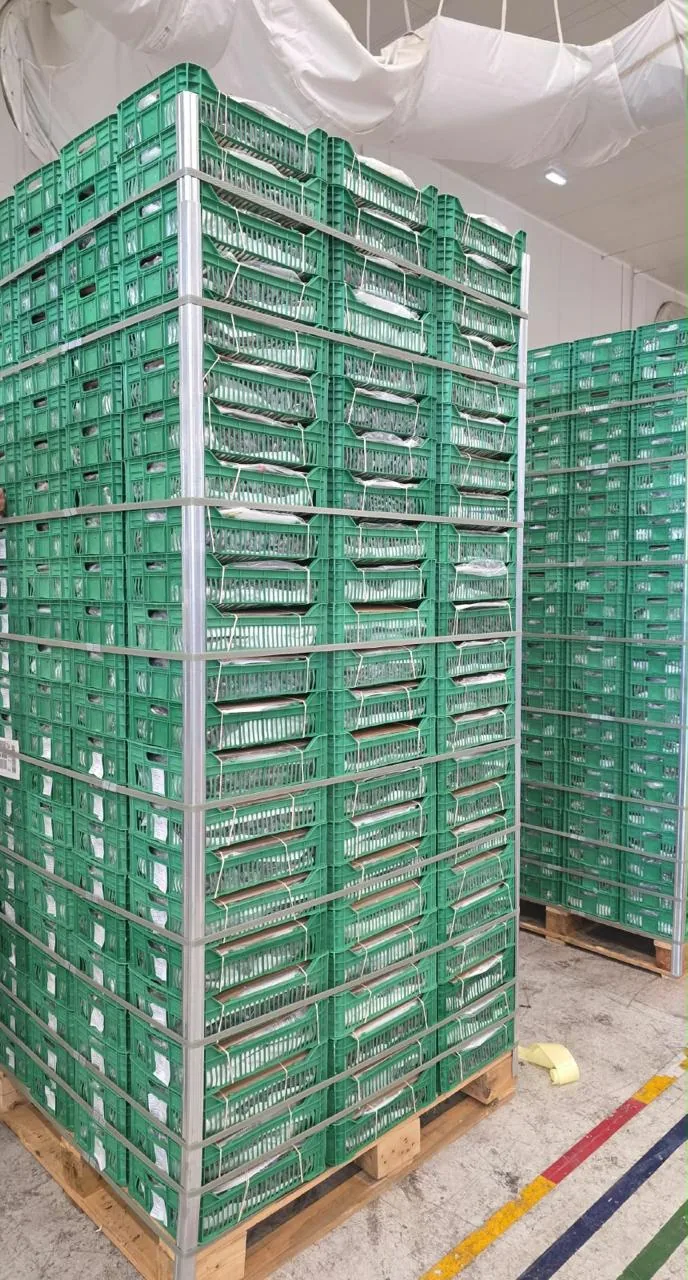 Stacked produce crates prepared for storage and shipment